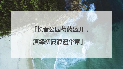 长春公园芍药盛开，演绎初夏浪漫华章