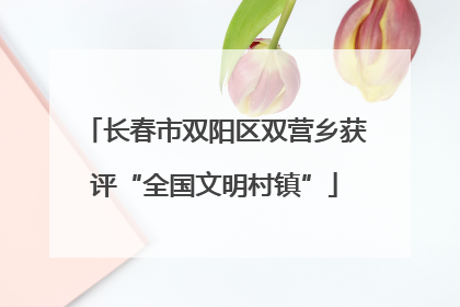 长春市双阳区双营乡获评“全国文明村镇”