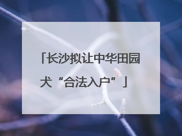长沙拟让中华田园犬“合法入户”