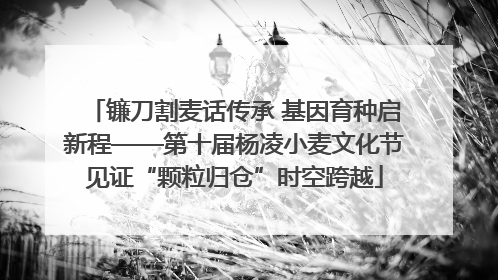 镰刀割麦话传承 基因育种启新程——第十届杨凌小麦文化节见证“颗粒归仓”时空跨越