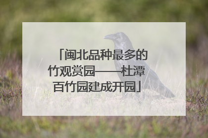 闽北品种最多的竹观赏园——杜潭百竹园建成开园