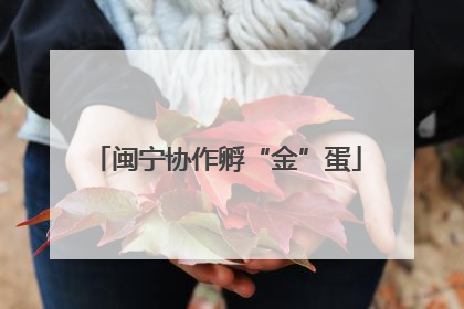 闽宁协作孵“金”蛋