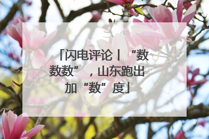 闪电评论丨“数数数”，山东跑出加“数”度