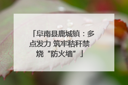 阜南县鹿城镇：多点发力 筑牢秸秆禁烧“防火墙”