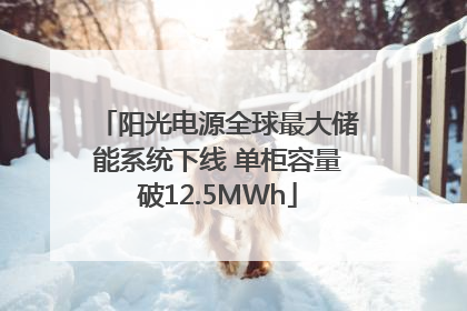 阳光电源全球最大储能系统下线 单柜容量破12.5MWh