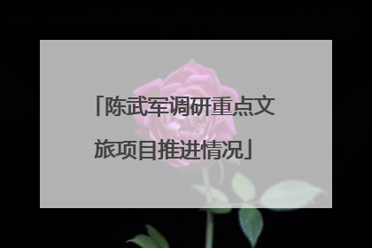 陈武军调研重点文旅项目推进情况