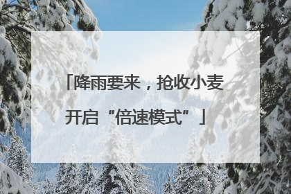 降雨要来，抢收小麦开启“倍速模式”