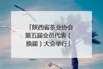 陕西省茶业协会第五届会员代表（换届）大会举行
