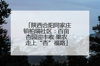 陕西合阳同家庄镇柏瑞社区：百亩杏园迎丰收 果农走上“杏”福路