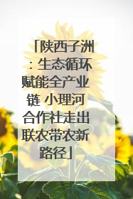 陕西子洲：生态循环赋能全产业链 小理河合作社走出联农带农新路径