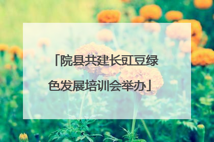 院县共建长豇豆绿色发展培训会举办