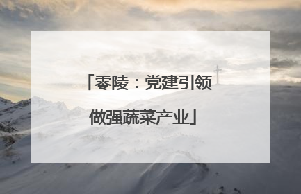 零陵：党建引领 做强蔬菜产业