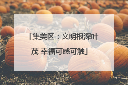 集美区：文明根深叶茂 幸福可感可触