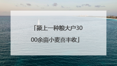 颍上一种粮大户3000余亩小麦喜丰收