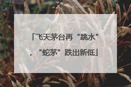 飞天茅台再“跳水”，“蛇茅”跌出新低