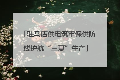 驻马店供电筑牢保供防线护航“三夏”生产