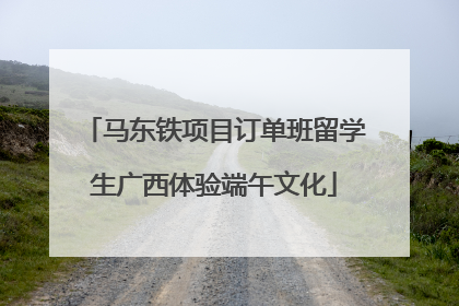 马东铁项目订单班留学生广西体验端午文化