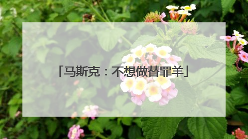马斯克：不想做替罪羊