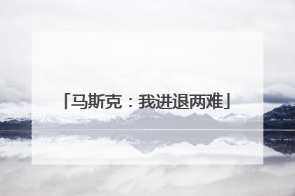 马斯克：我进退两难