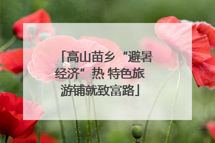 高山苗乡“避暑经济”热 特色旅游铺就致富路