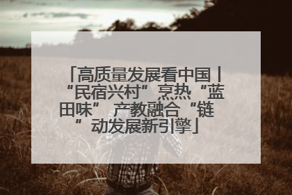 高质量发展看中国丨“民宿兴村”烹热“蓝田味” 产教融合“链”动发展新引擎