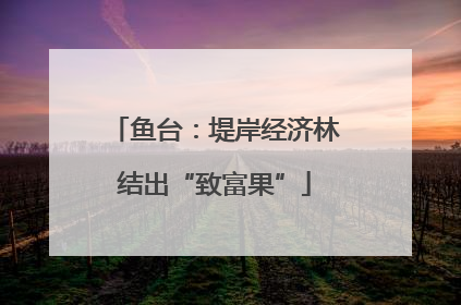 鱼台：堤岸经济林结出“致富果”