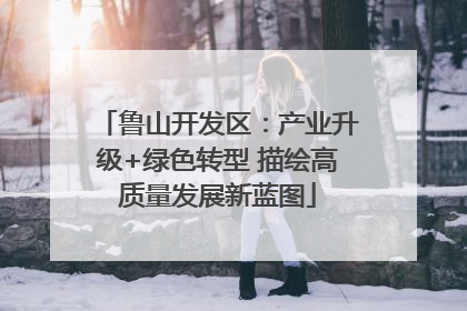 鲁山开发区：产业升级+绿色转型 描绘高质量发展新蓝图