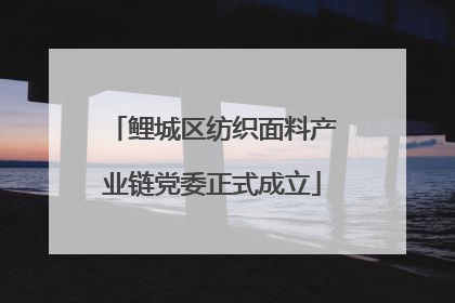 鲤城区纺织面料产业链党委正式成立