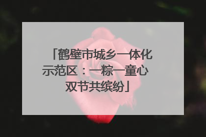鹤壁市城乡一体化示范区：一粽一童心 双节共缤纷