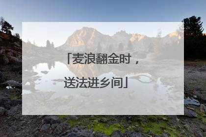 麦浪翻金时，送法进乡间