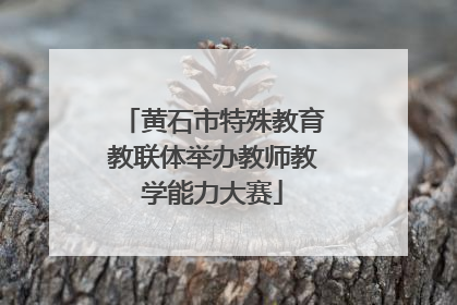 黄石市特殊教育教联体举办教师教学能力大赛