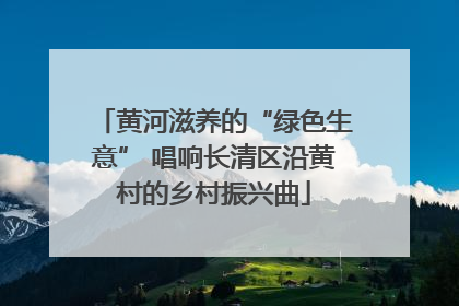 黄河滋养的“绿色生意” 唱响长清区沿黄村的乡村振兴曲
