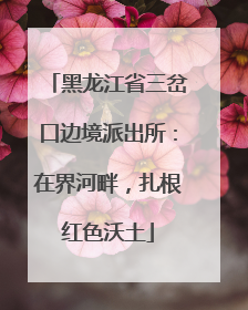 黑龙江省三岔口边境派出所：在界河畔，扎根红色沃土