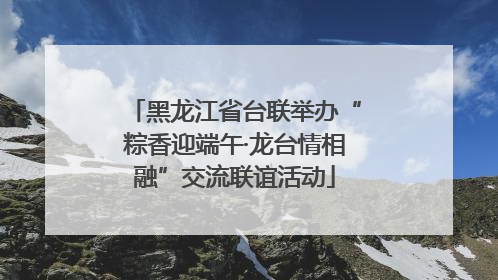 黑龙江省台联举办“粽香迎端午·龙台情相融”交流联谊活动