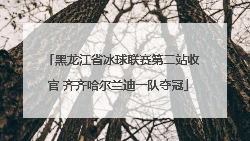 黑龙江省冰球联赛第二站收官 齐齐哈尔兰迪一队夺冠