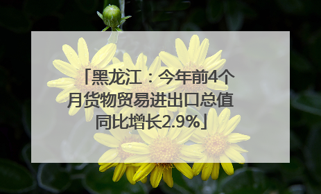 黑龙江：今年前4个月货物贸易进出口总值同比增长2.9%
