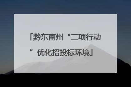 黔东南州“三项行动”优化招投标环境