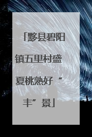 黟县碧阳镇五里村盛夏桃熟好“丰”景