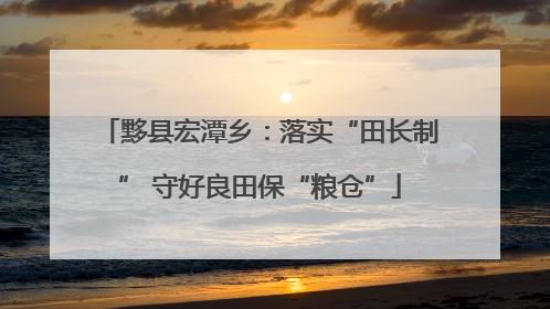黟县宏潭乡：落实“田长制” 守好良田保“粮仓”