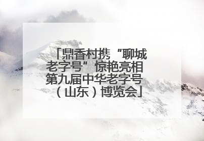 鼎香村携“聊城老字号”惊艳亮相第九届中华老字号（山东）博览会
