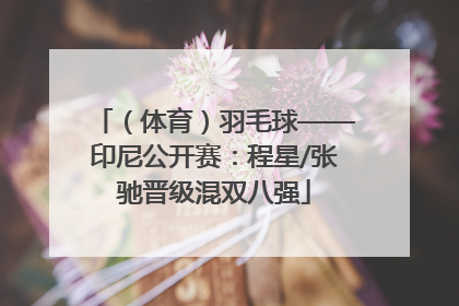 （体育）羽毛球——印尼公开赛：程星/张驰晋级混双八强