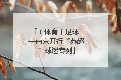 （体育）足球——南京开行“苏超”球迷专列