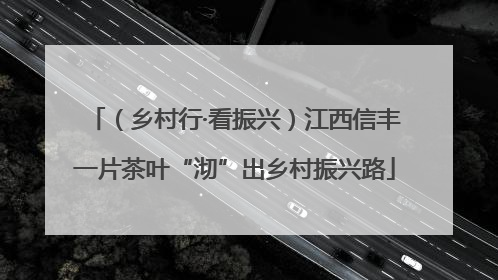 （乡村行·看振兴）江西信丰一片茶叶“沏”出乡村振兴路