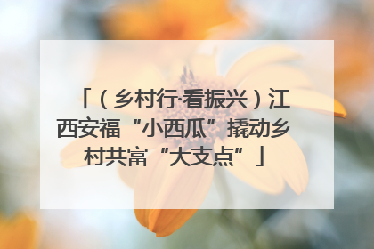 （乡村行·看振兴）江西安福“小西瓜”撬动乡村共富“大支点”