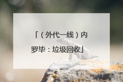 （外代一线）内罗毕：垃圾回收