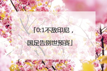 0:1不敌印尼，国足告别世预赛