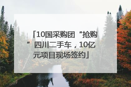 10国采购团“抢购”四川二手车，10亿元项目现场签约