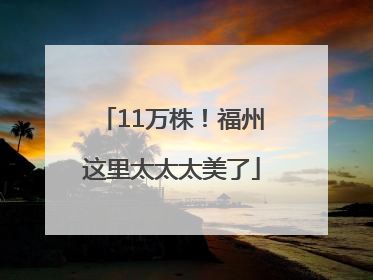 11万株！福州这里太太太美了