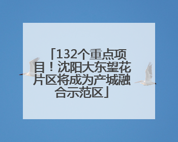 132个重点项目！沈阳大东望花片区将成为产城融合示范区