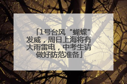 1号台风“蝴蝶”发威，周日上海将有大雨雷电，中考生请做好防范准备